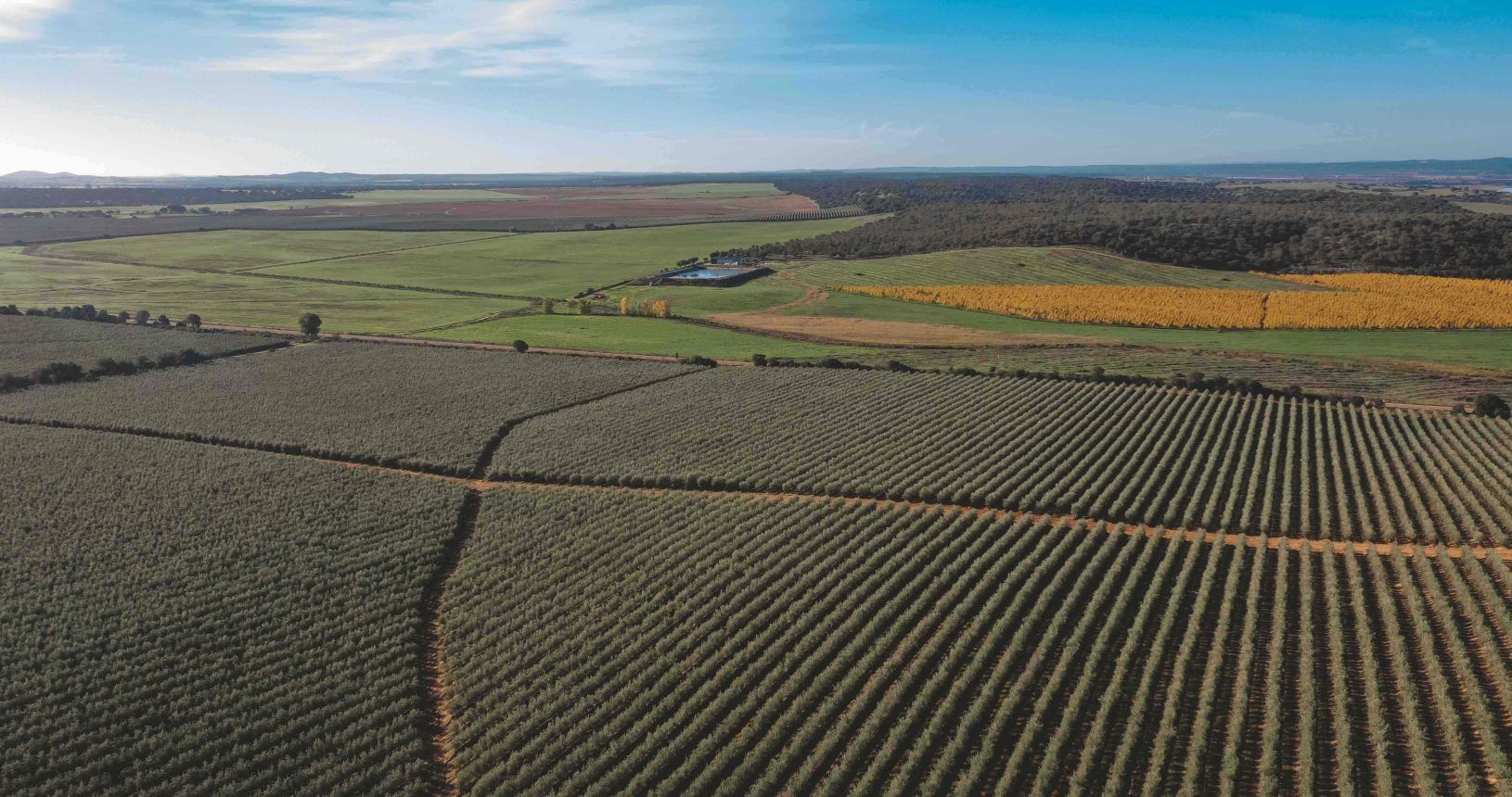 EquirentaDiagonal_DIMENTIA-0067-min